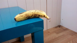 バナナがあると