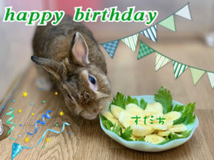 お誕生日おめでとう の記事一覧