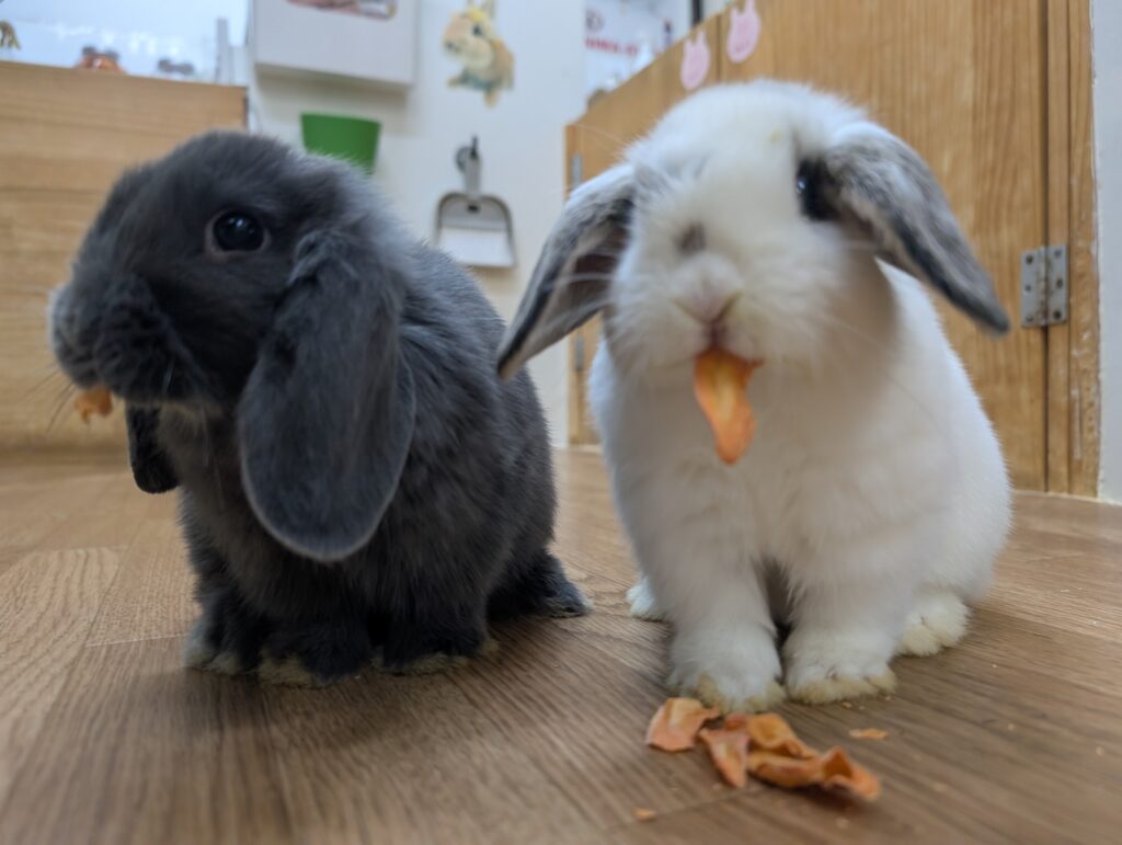 おはぎ&しおまめ（大福）